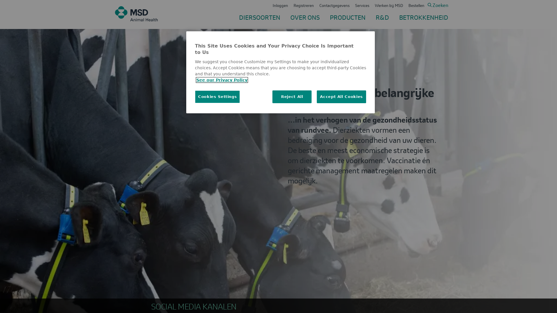 msd-animal-health.nl Desktop Screenshot