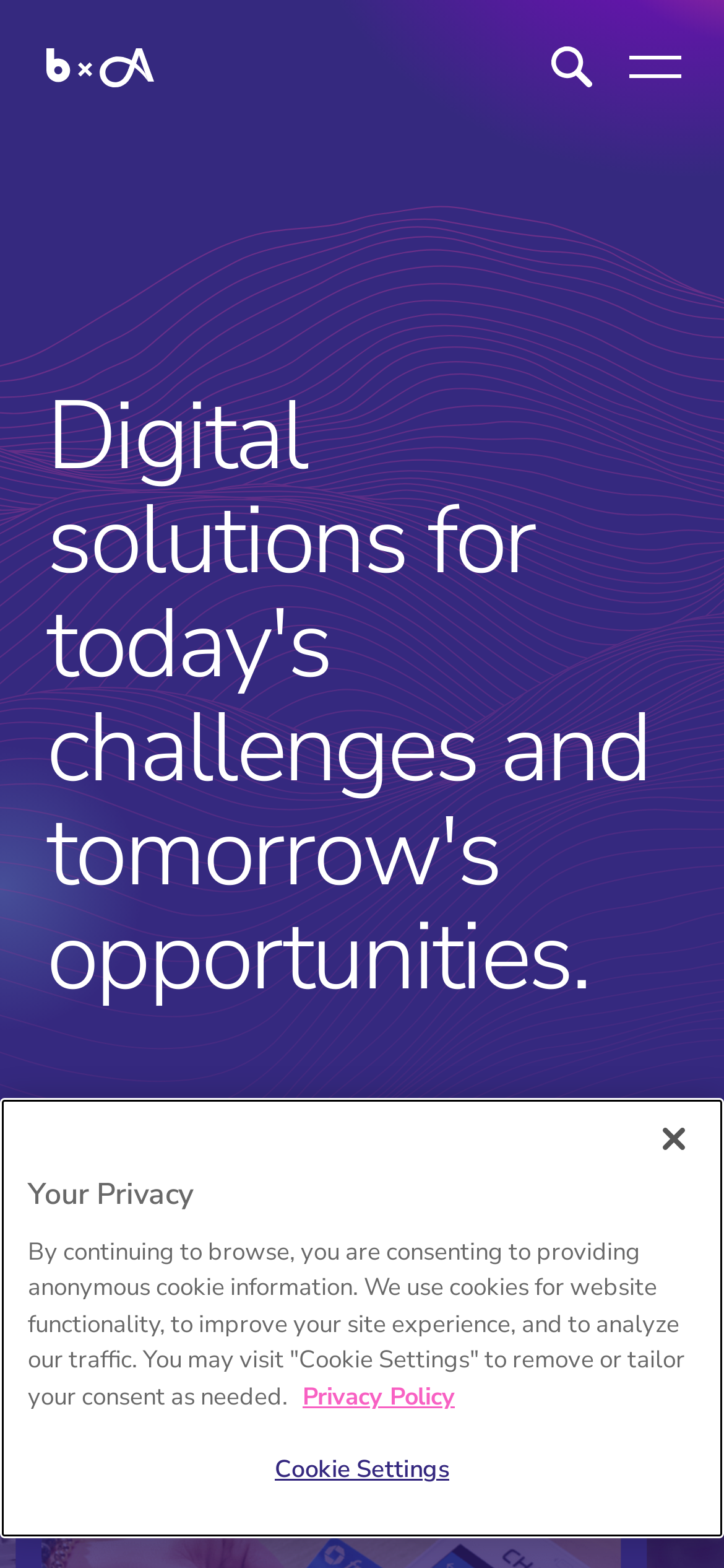 bounteous.com Mobile Screenshot